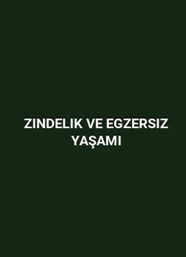 Zindelik ve Egzersiz Yaşamı