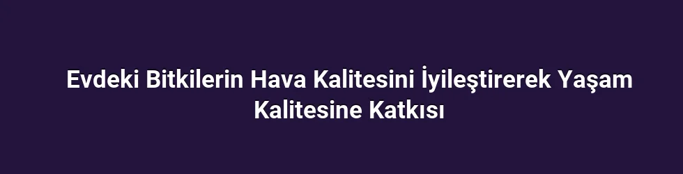 Evdeki Bitkilerin Hava Kalitesini İyileştirerek Yaşam Kalitesine Katkısı