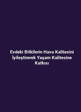 Evdeki Bitkilerin Hava Kalitesini İyileştirerek Yaşam Kalitesine Katkısı