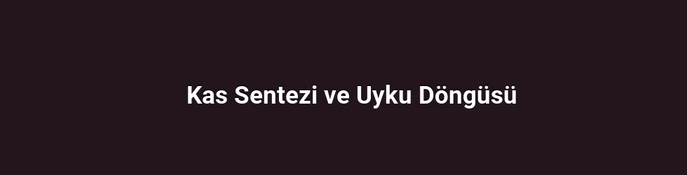 Kas Sentezi ve Uyku Döngüsü