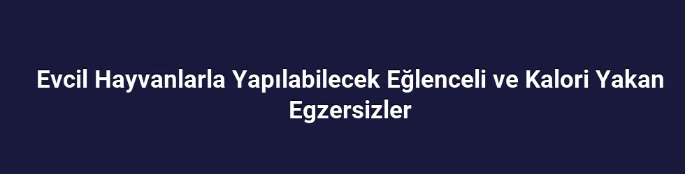 Evcil Hayvanlarla Yapılabilecek Eğlenceli ve Kalori Yakan Egzersizler