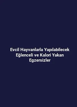 Evcil Hayvanlarla Yapılabilecek Eğlenceli ve Kalori Yakan Egzersizler