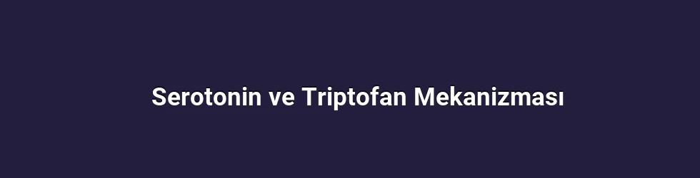 Serotonin ve Triptofan Mekanizması