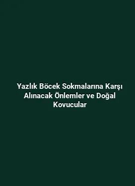 Yazlık Böcek Sokmalarına Karşı Alınacak Önlemler ve Doğal Kovucular