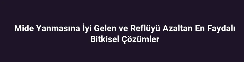 Mide Yanmasına İyi Gelen ve Reflüyü Azaltan En Faydalı Bitkisel Çözümler