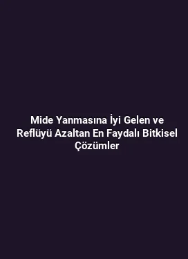 Mide Yanmasına İyi Gelen ve Reflüyü Azaltan En Faydalı Bitkisel Çözümler
