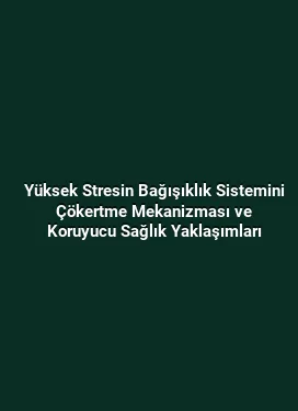 Yüksek Stresin Bağışıklık Sistemini Çökertme Mekanizması ve Koruyucu Sağlık Yaklaşımları