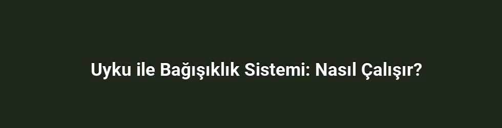 Uyku ile Bağışıklık Sistemi: Nasıl Çalışır?