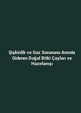 Şişkinlik ve Gaz Sorununu Anında Gideren Doğal Bitki Çayları ve Hazırlanışı
