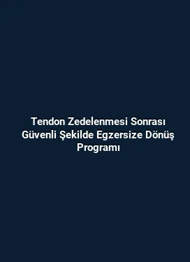 Tendon Zedelenmesi Sonrası Güvenli Şekilde Egzersize Dönüş Programı