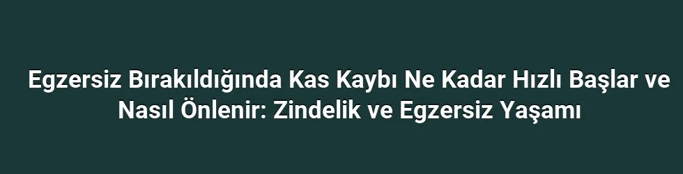 Egzersiz Bırakıldığında Kas Kaybı Ne Kadar Hızlı Başlar ve Nasıl Önlenir: Zindelik ve Egzersiz Yaşamı