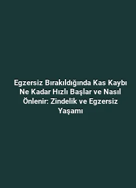 Egzersiz Bırakıldığında Kas Kaybı Ne Kadar Hızlı Başlar ve Nasıl Önlenir: Zindelik ve Egzersiz Yaşamı