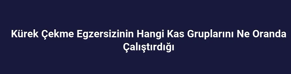 Kürek Çekme Egzersizinin Hangi Kas Gruplarını Ne Oranda Çalıştırdığı