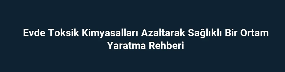 İlk H2 Başlığı - Evde Toksik Kimyasalları Tanımlama ve Kaynakları