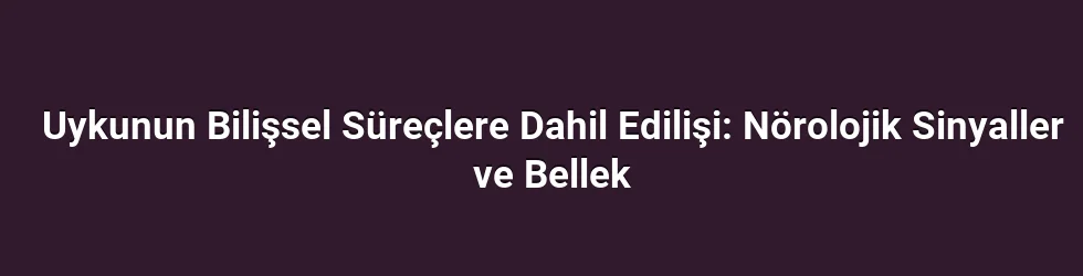 Uykunun Bilişsel Süreçlere Dahil Edilişi: Nörolojik Sinyaller ve Bellek