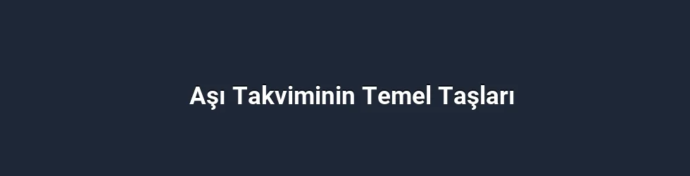 Yetişkin Aşı Takviminin Temel Taşları