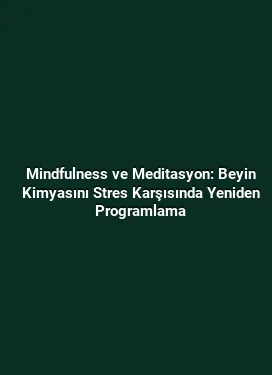 Mindfulness ve Meditasyon: Beyin Kimyasını Stres Karşısında Yeniden Programlama