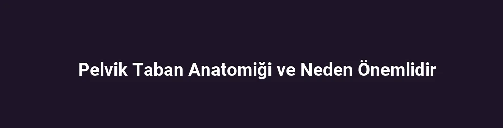 Pelvik Taban Anatomiği ve Neden Önemlidir