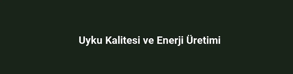 Uyku Kalitesi ve Enerji Üretimi