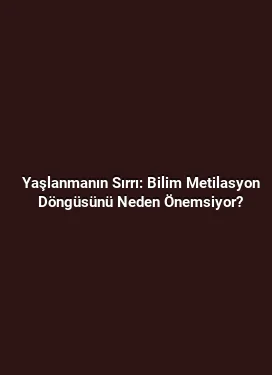 Yaşlanmanın Sırrı: Bilim Metilasyon Döngüsünü Neden Önemsiyor?