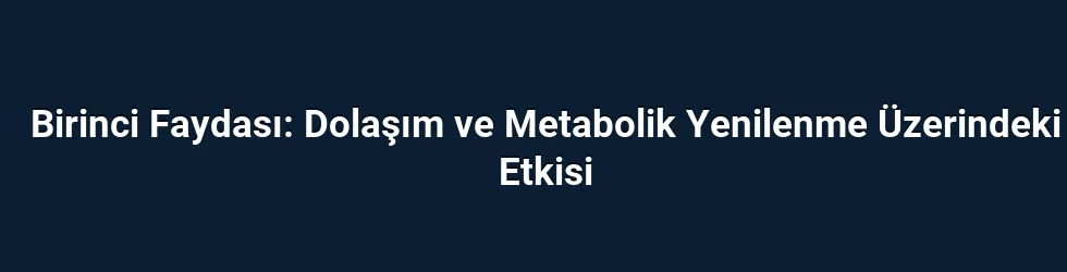 Birinci Faydası: Dolaşım ve Metabolik Yenilenme Üzerindeki Etkisi