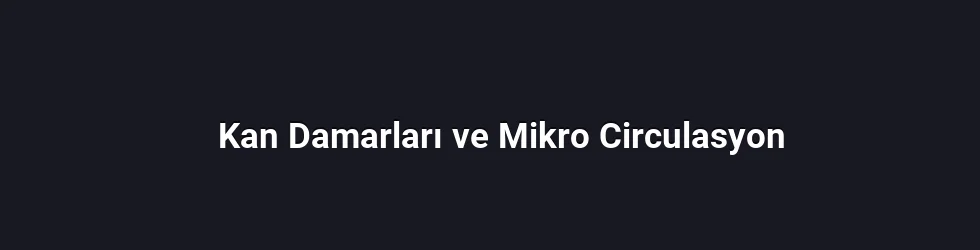 Kan Damarları ve Mikro Circulasyon
