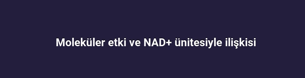 Moleküler etki ve NAD+ ünitesiyle ilişkisi