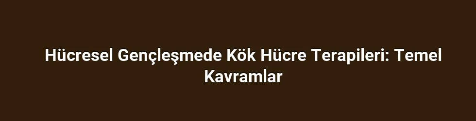 Hücresel Gençleşmede Kök Hücre Terapileri: Temel Kavramlar