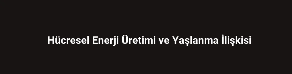 Hücresel Enerji Üretimi ve Yaşlanma İlişkisi