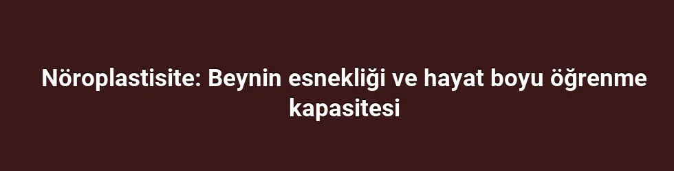 Nöroplastisite: Beynin esnekliği ve hayat boyu öğrenme kapasitesi