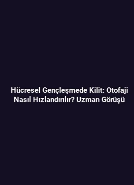 Hücresel Gençleşmede Kilit: Otofaji Nasıl Hızlandırılır? Uzman Görüşü