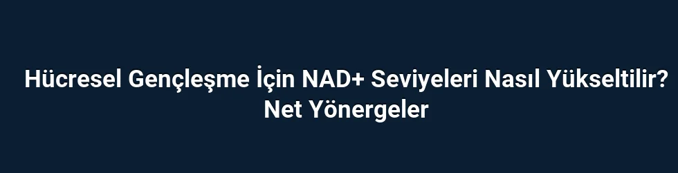 Hücresel Gençleşme İçin NAD+ Seviyeleri Nasıl Yükseltilir? Net Yönergeler