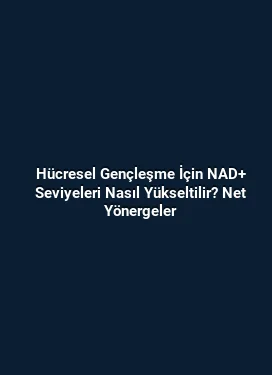 Hücresel Gençleşme İçin NAD+ Seviyeleri Nasıl Yükseltilir? Net Yönergeler