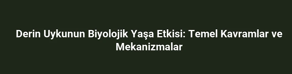 Derin Uykunun Biyolojik Yaşa Etkisi: Temel Kavramlar ve Mekanizmalar