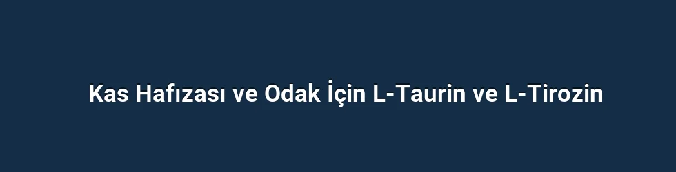 Kas Hafızası ve Odak İçin L-Taurin ve L-Tirozin