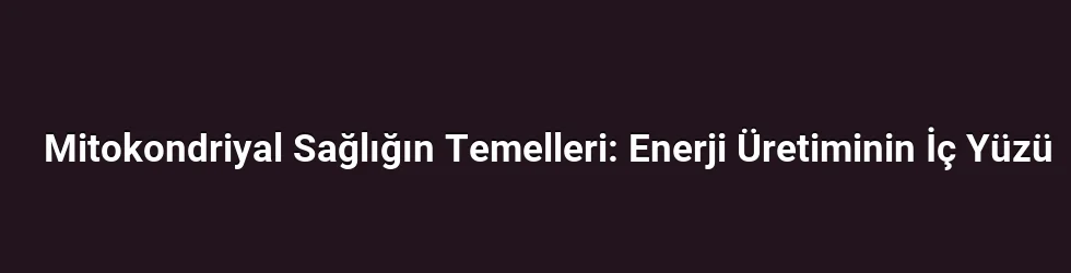 Mitokondriyal Sağlığın Temelleri: Enerji Üretiminin İç Yüzü