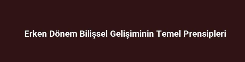 Erken Dönem Bilişsel Gelişiminin Temel Prensipleri