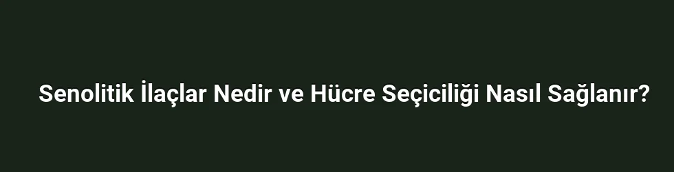 Senolitik İlaçlar Nedir ve Hücre Seçiciliği Nasıl Sağlanır?