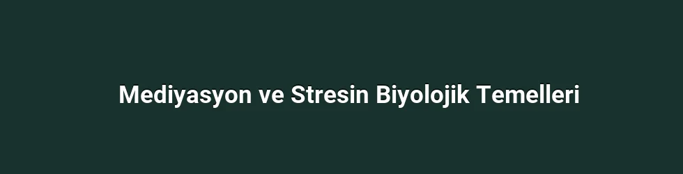 Mediyasyon ve Stresin Biyolojik Temelleri