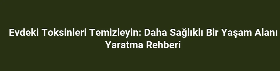Evdeki Toksinleri Temizleyin: Daha Sağlıklı Bir Yaşam Alanı Yaratma Rehberi