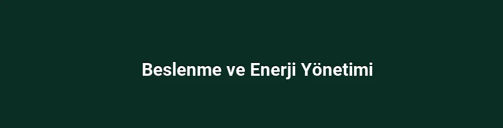Beslenme ve Enerji Yönetimi