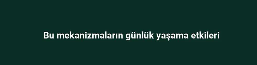 Bu mekanizmaların günlük yaşama etkileri