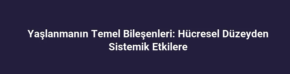 Yaşlanmanın Temel Bileşenleri: Hücresel Düzeyden Sistemik Etkilere