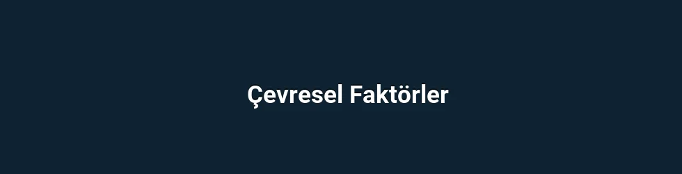 Çevresel Faktörler