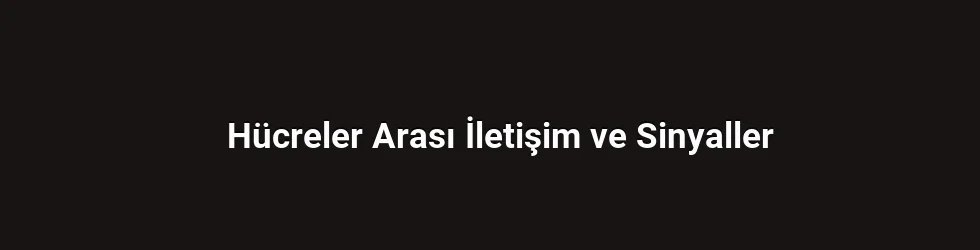 Hücreler Arası İletişim ve Sinyaller