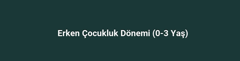 Erken Çocukluk Dönemi (0-3 Yaş)