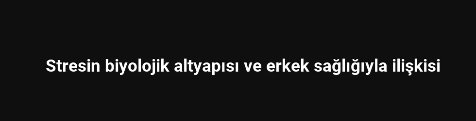 Stresin biyolojik altyapısı ve erkek sağlığıyla ilişkisi