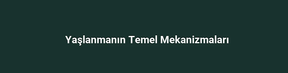 Yaşlanmanın Temel Mekanizmaları
