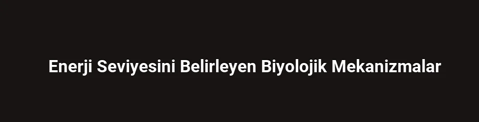 Enerji Seviyesini Belirleyen Biyolojik Mekanizmalar