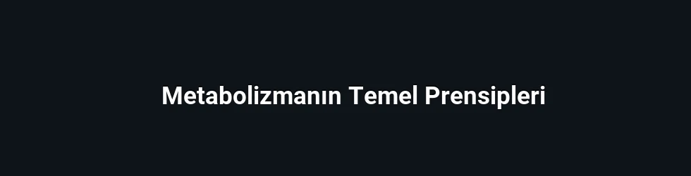 Metabolizmanın Temel Prensipleri
